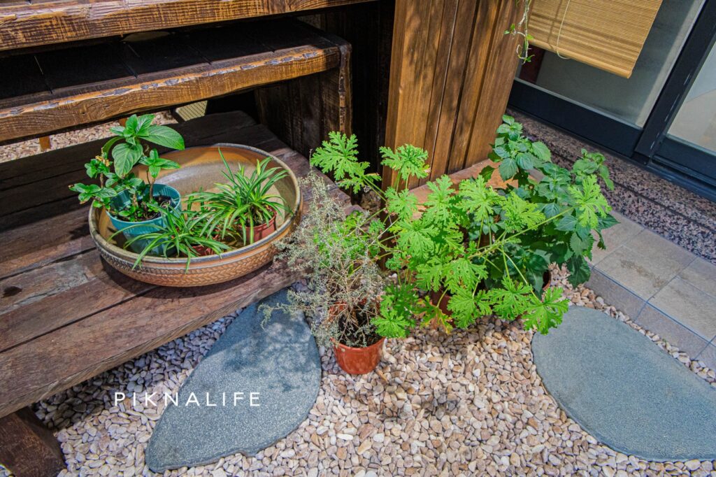 永康街一抹青 植栽