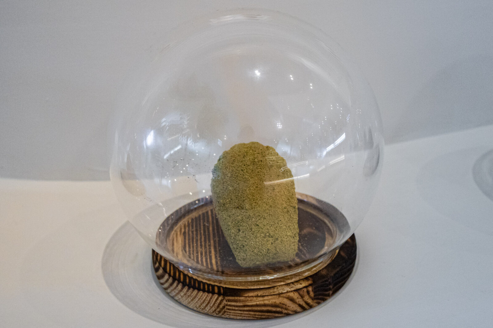 Maison Vanille 抹茶瑪德蓮，表面均勻裹上綠色抹茶粉，置於玻璃罩內展示。